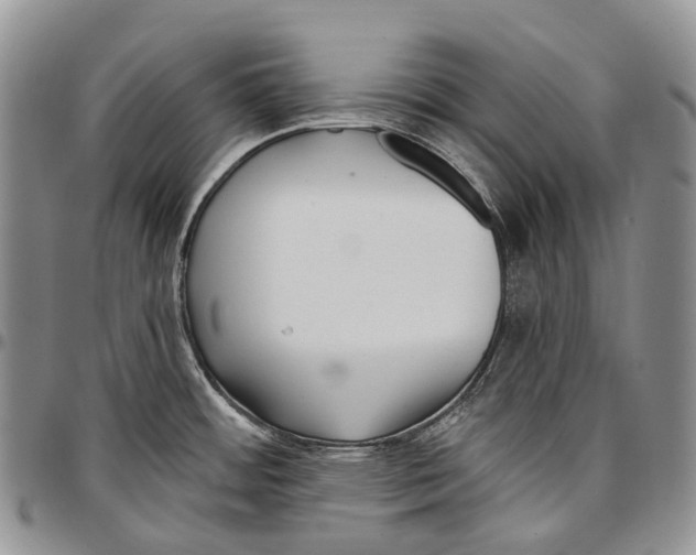 X0000096711484200803041331