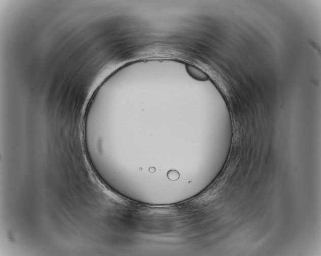 X0000096711486200803041331