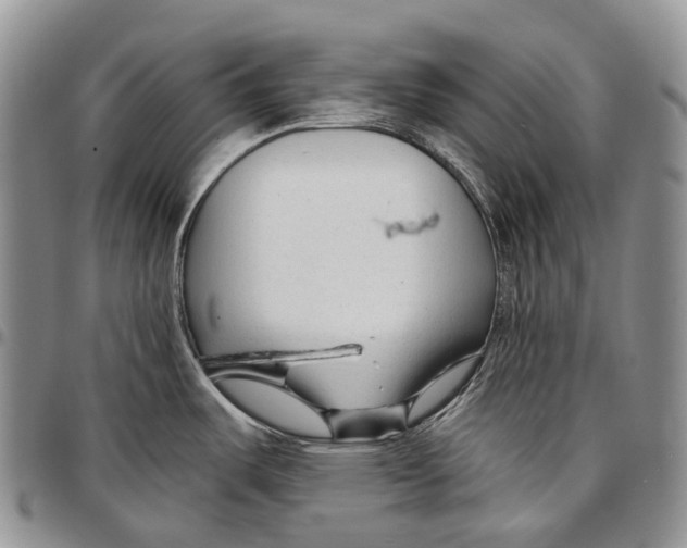 X0000096711487200803041331