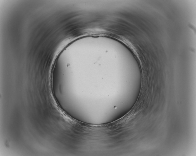 X0000096711488200803041331