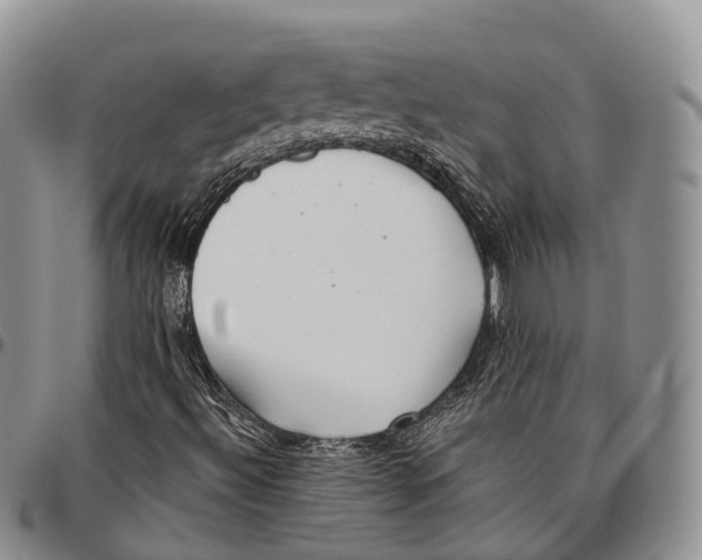 X0000096711492200803041330