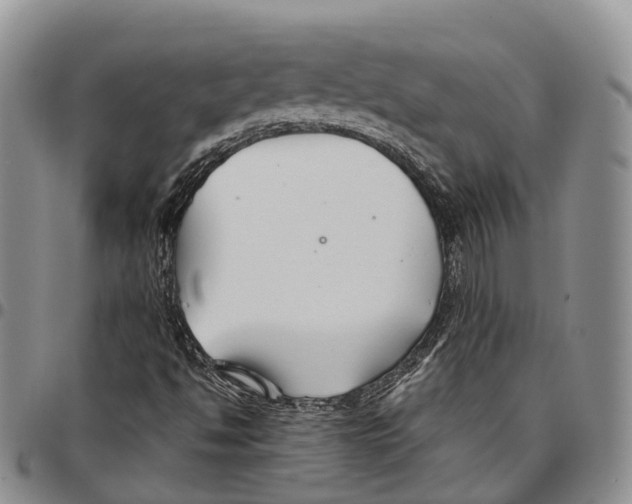 X0000096711494200803041330