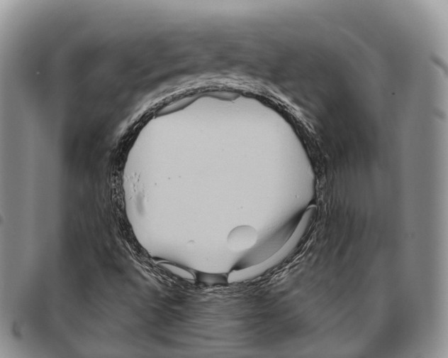 X0000096711496200803041330