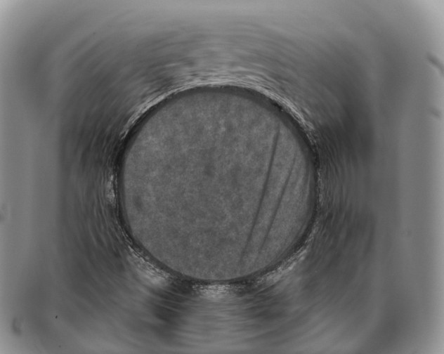 X0000096711497200803041330