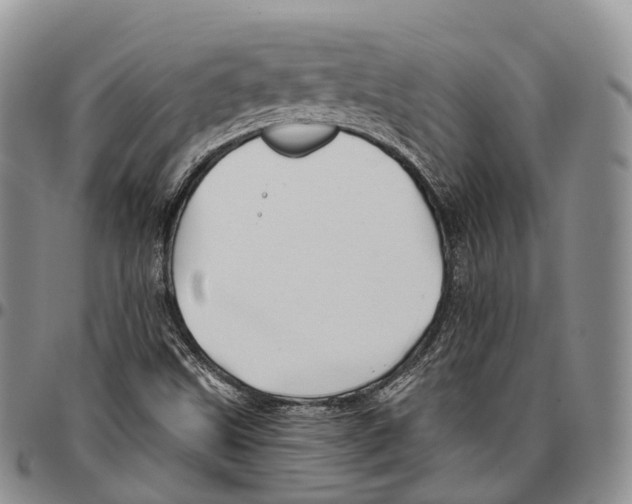 X0000096711499200803041330