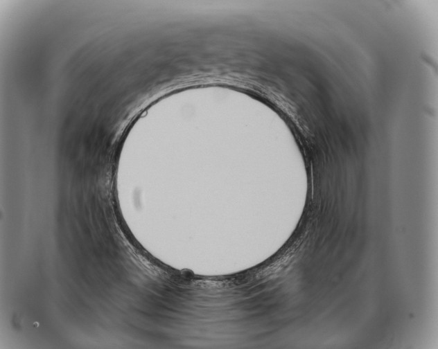 X0000096711500200803041330