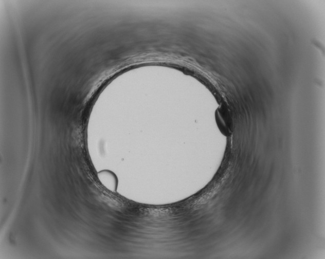 X0000096711501200803041330