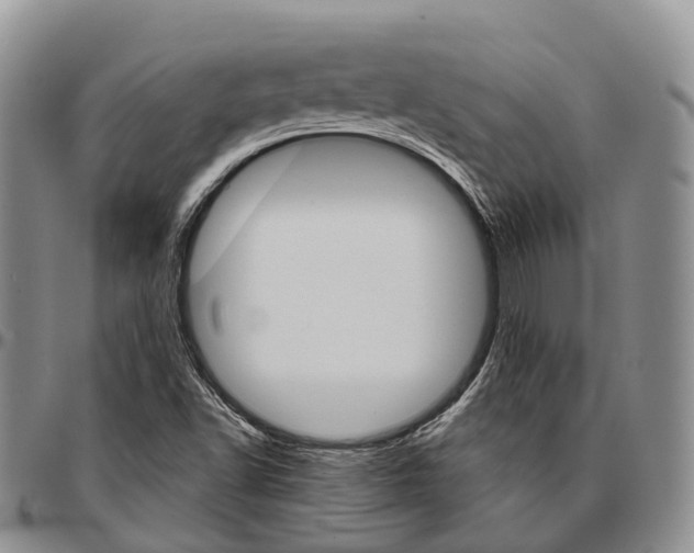 X0000096711502200803041330