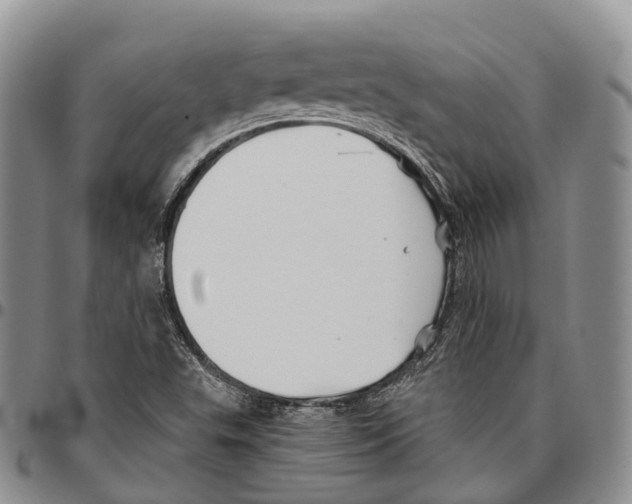 X0000096711503200803041330