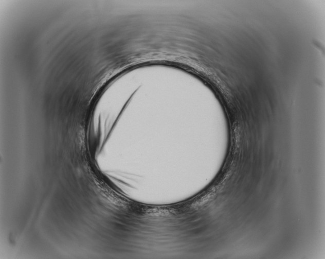 X0000096711505200803041330