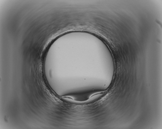 X0000096711506200803041330