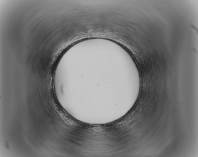 X0000096711507200803041330