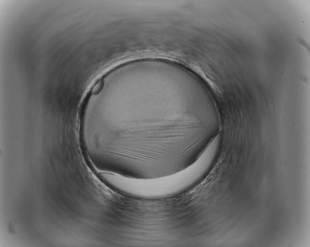 X0000096711508200803041330