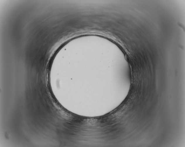 X0000096711511200803041331