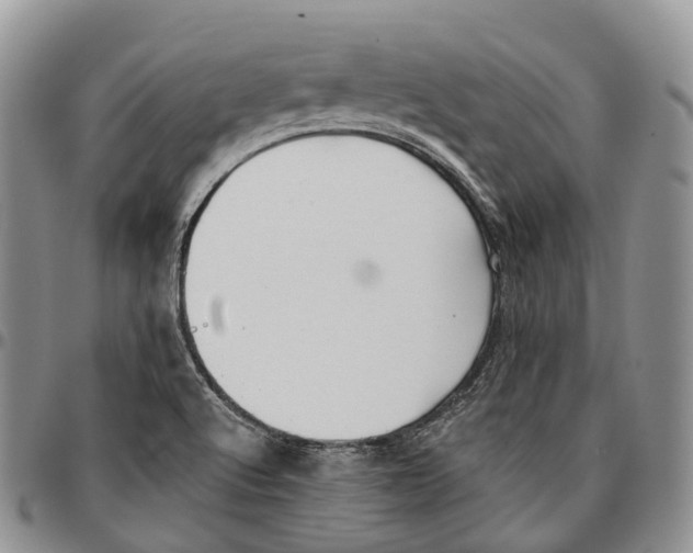 X0000096711512200803041331