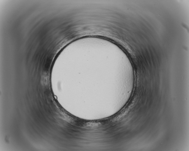 X0000096711513200803041331