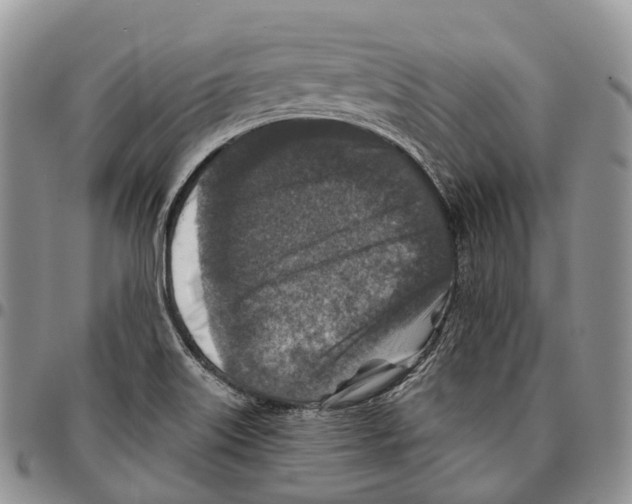 X0000096711515200803041331