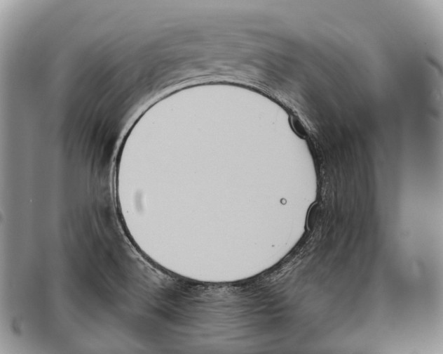 X0000096711516200803041331