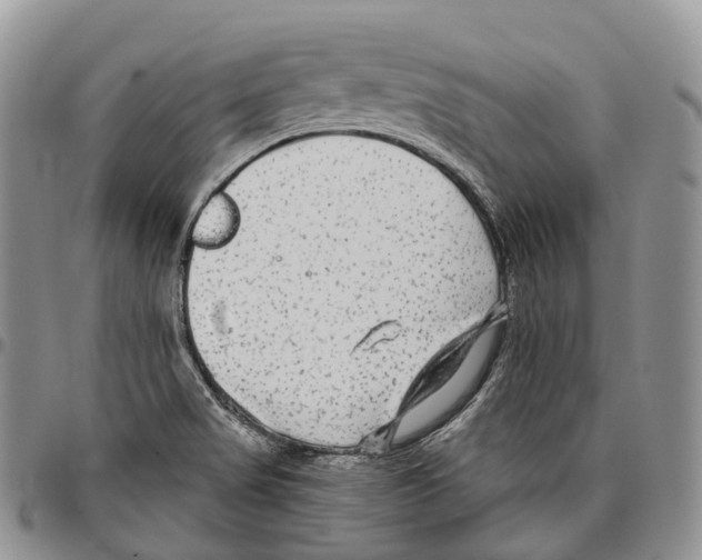 X0000096711517200803041331