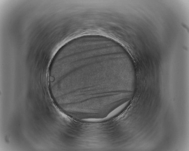 X0000096711519200803041331