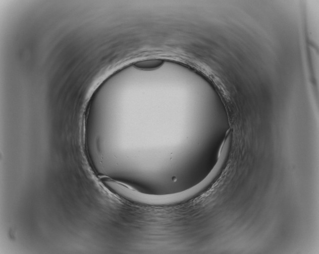 X0000096711520200803041331