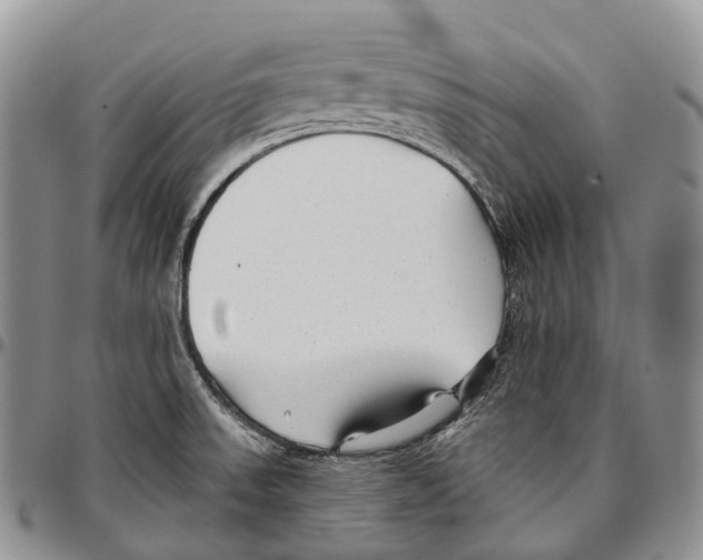 X0000096711523200803041331