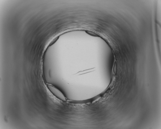 X0000096711524200803041331