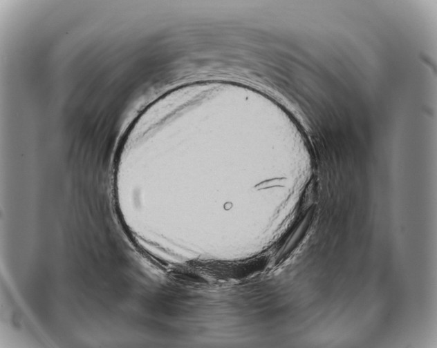 X0000096711525200803041331