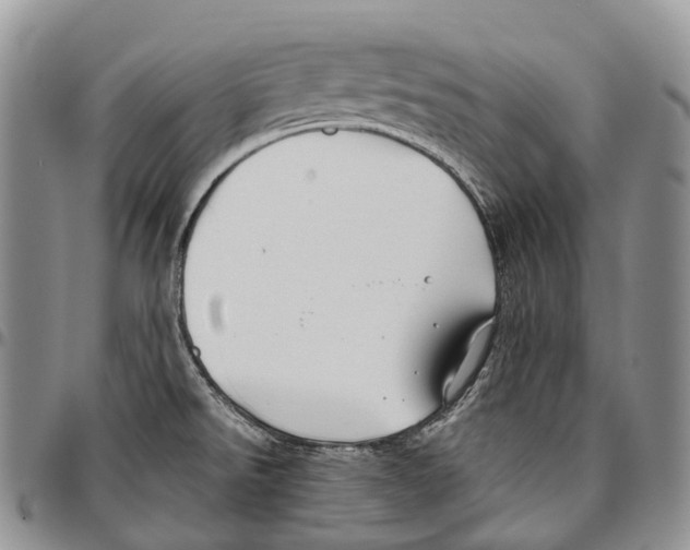 X0000096711526200803041331