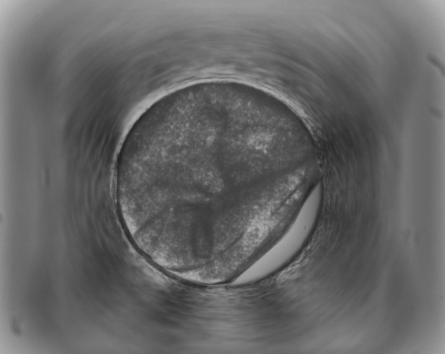 X0000096711527200803041331