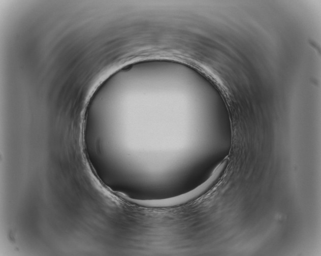 X0000096711528200803041331