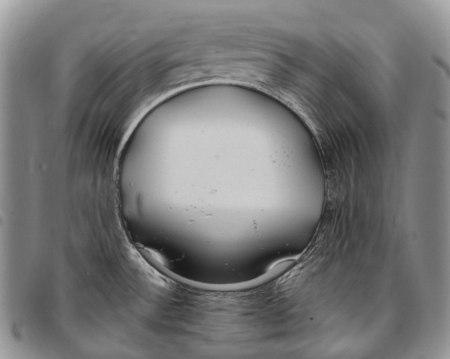 X0000096711532200803041331