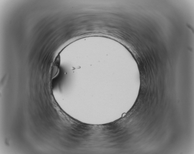 X0000096711534200803041331