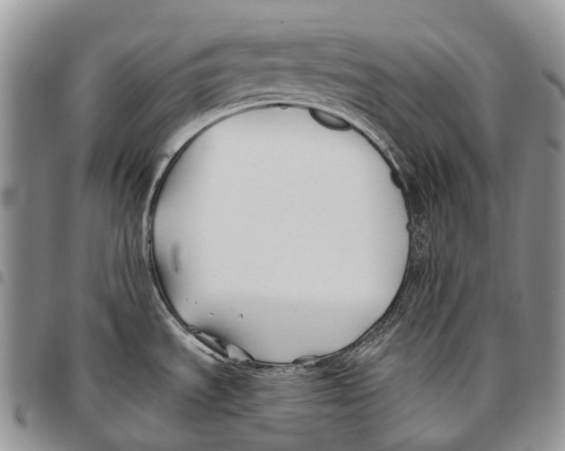 X0000096711535200803041331