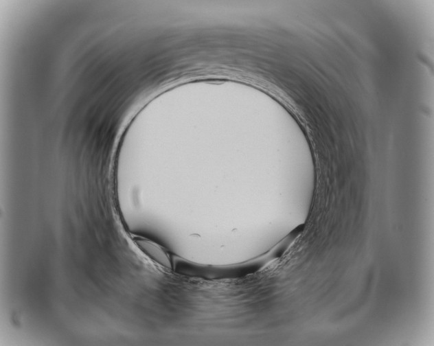 X0000096711536200803041331