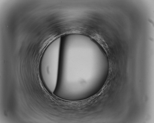X0000096720001200802051110