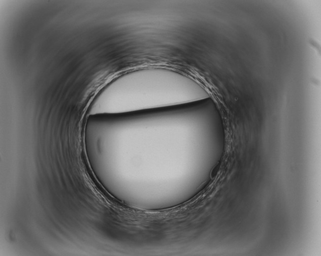 X0000096720002200802051110