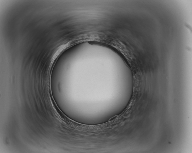 X0000096720003200802051110
