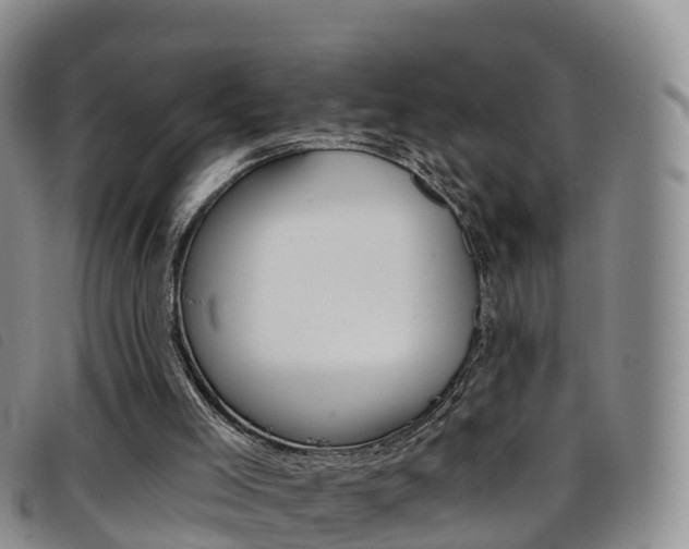 X0000096720005200802051110