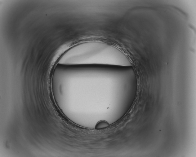 X0000096720006200802051110