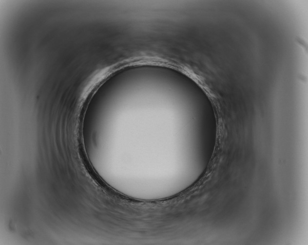 X0000096720007200802051110