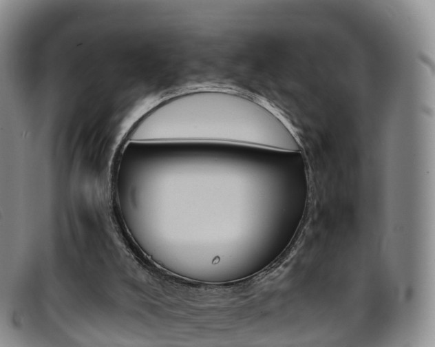 X0000096720008200802051110