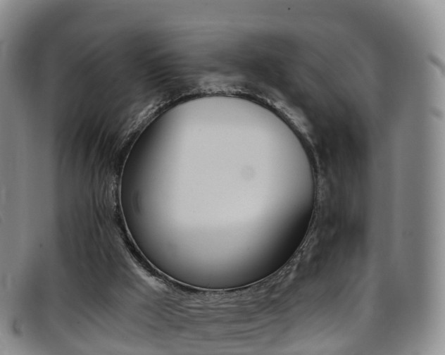 X0000096720009200802051110
