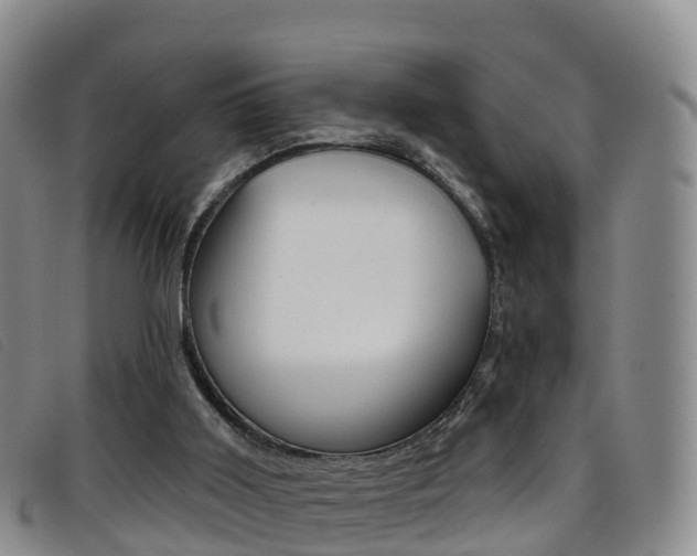 X0000096720011200802051110