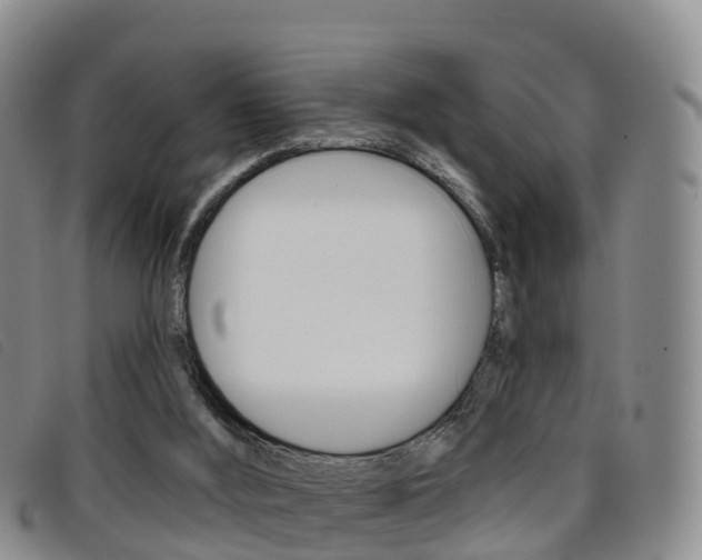 X0000096720012200802051110