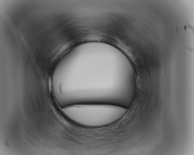 X0000096720013200802051110