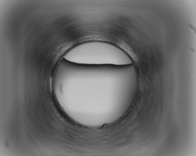 X0000096720014200802051110