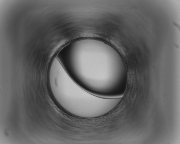 X0000096720015200802051110