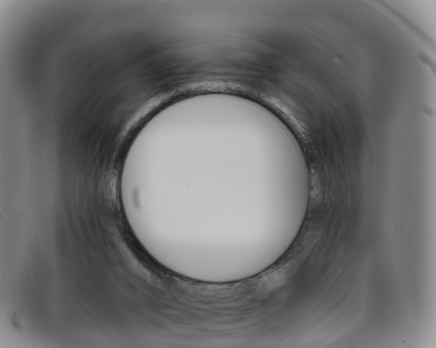 X0000096720016200802051110