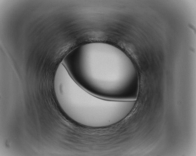 X0000096720017200802051110